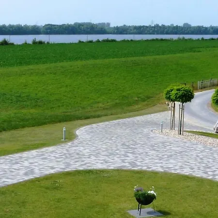 Deichkrone-rees * Rees