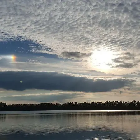 Deichkrone-rees Rees