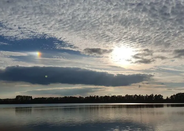 Deichkrone-rees Рес